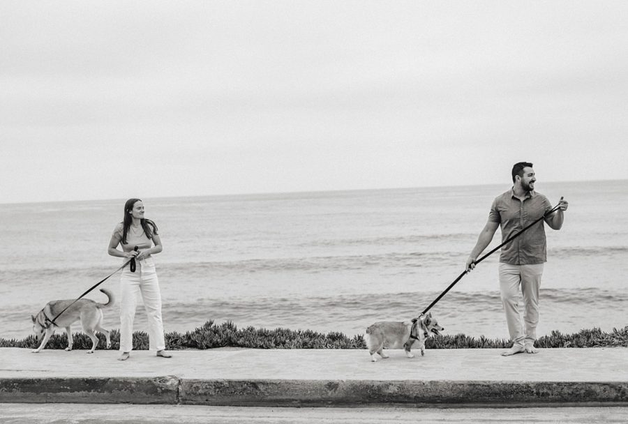 black and white couple walking dogs