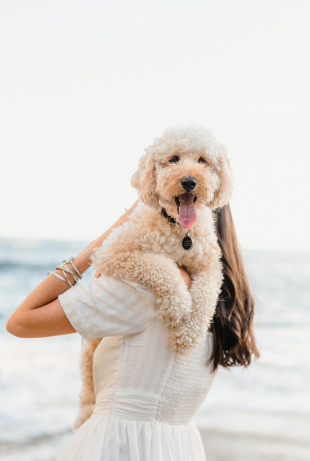 girl carrying smiling dog beach